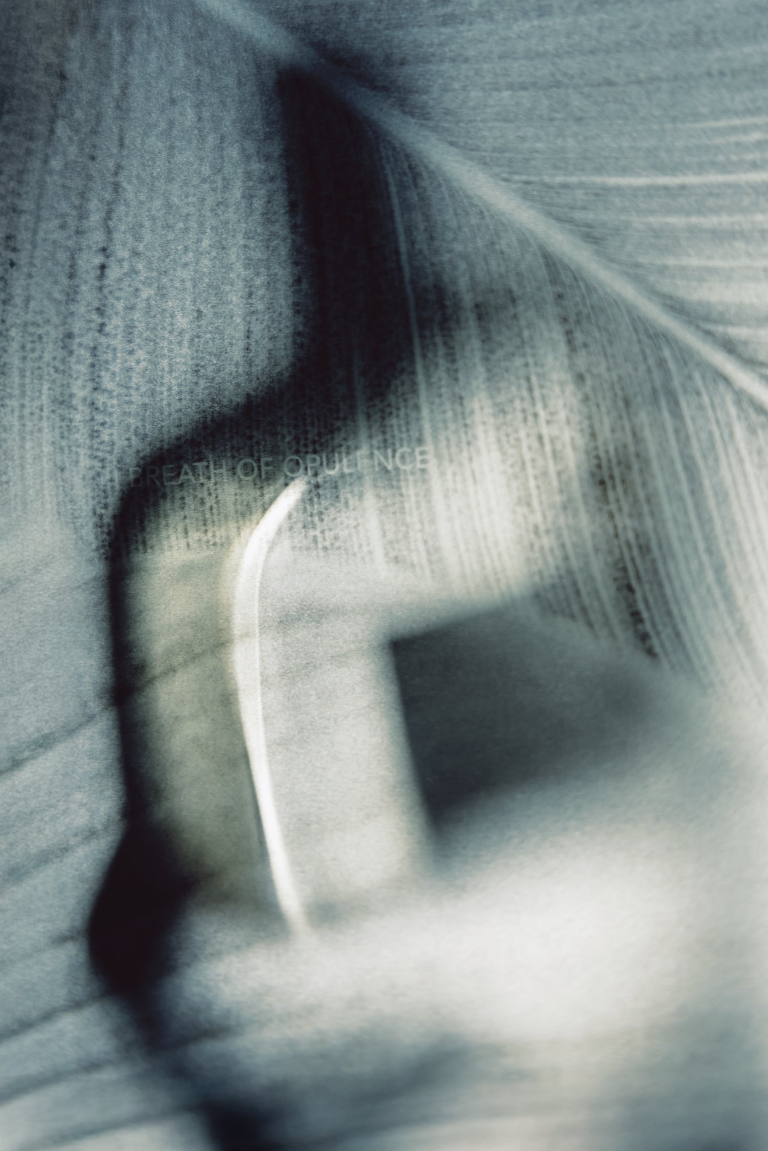 HAIR SALON COLLABORATION - ROUND 2|50ML