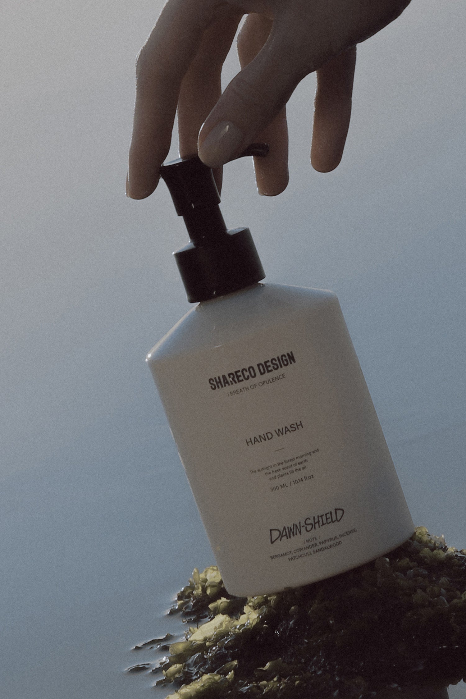 DAWN SHIELD - HAND WASH｜300ML