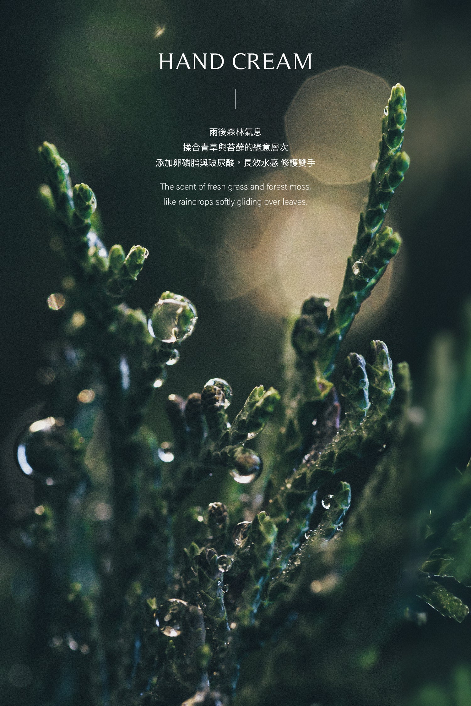 HAND CREAM｜30ML