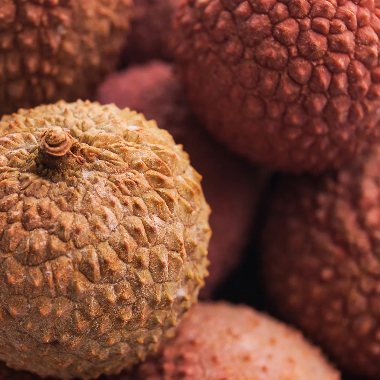 3212 Pandora's Secret｜Perfume Shampoo